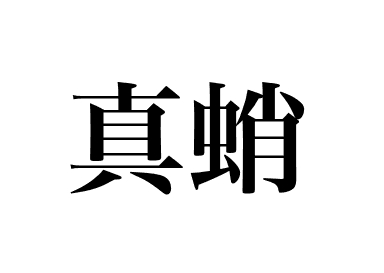 Pieuvre commune (Madako)