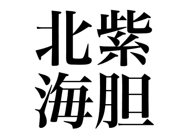 Oursin du kitamusaki (Kitamurasaki uni)