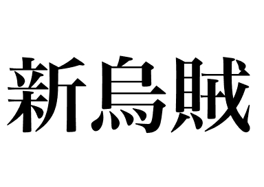 Seiche dorée juvénile (Shin ika)