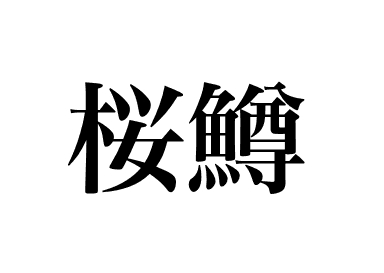 Saumon masou (Sakuramasu)