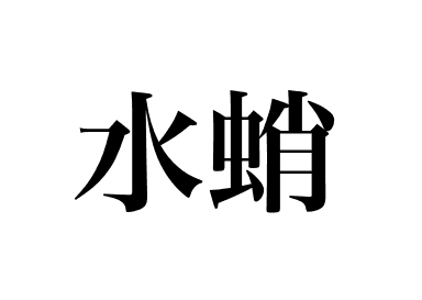 North-pacific giant octopus (Mizudako)