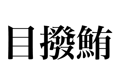 Thon obèse (Mebachi maguro)