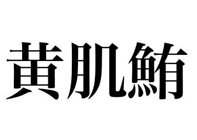 Thon jaune (Kihada maguro)
