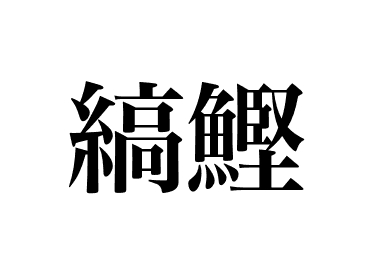 Black skipjack (Suma)