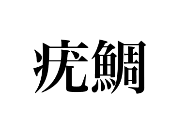 Japanese butterfish (Ebodai)