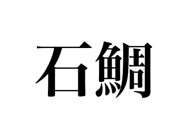 Ishidai dorade (Ishidai)
