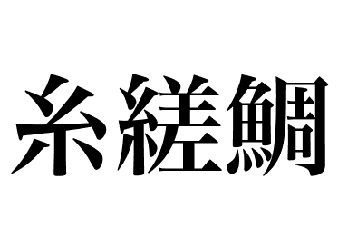 Golden threadfin bream (Itoyoridai)