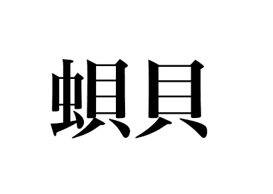 Japanese Ivory shell (Bai)