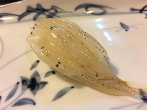 Blanchaille Shirauo (Shirauo)