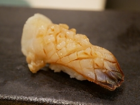 Palourde mirugai (Mirugai)