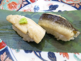 Congre du Japon (Anago)