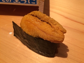 Oursin du ezobafun (Ezobafun uni)