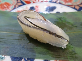 Demi-bec du Japon (Sayori)