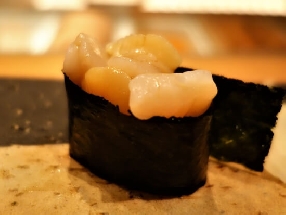 Palourde Kobashira (Kobashira)