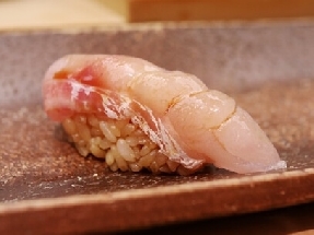 Amadaï rouge (Amadai)
