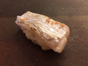 Poisson-sabre commun (Tachiuo)