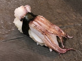 Tentacules de calamars (Geso)