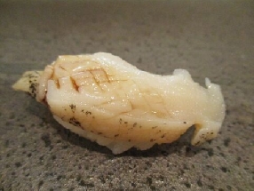 Babylonia japonica (Bai)
