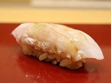 Amadaï blanc (Shirakawa)