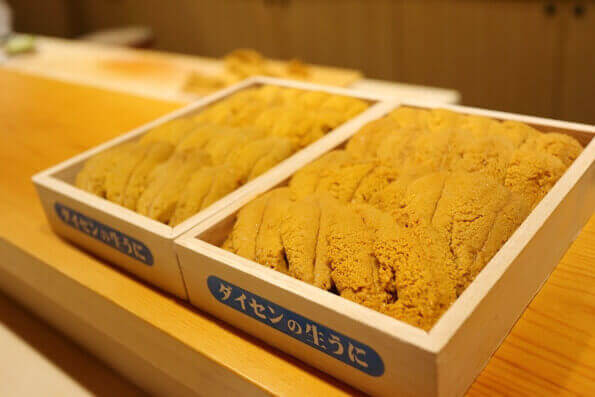 a photo of daisen uni