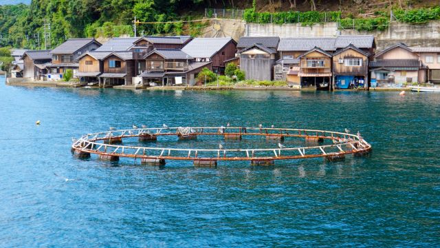 A photo of fish farm