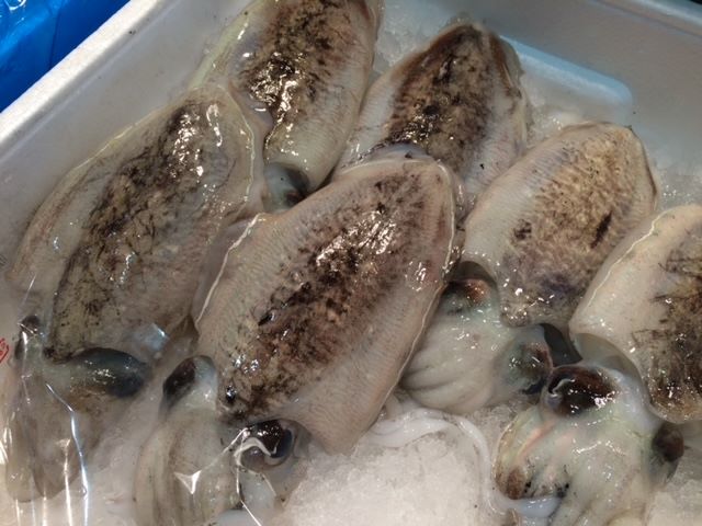 a photo of Golden cuttlefish (Sumi ika)