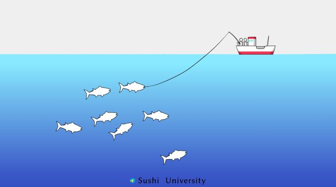 An illustration of Ipponzuri