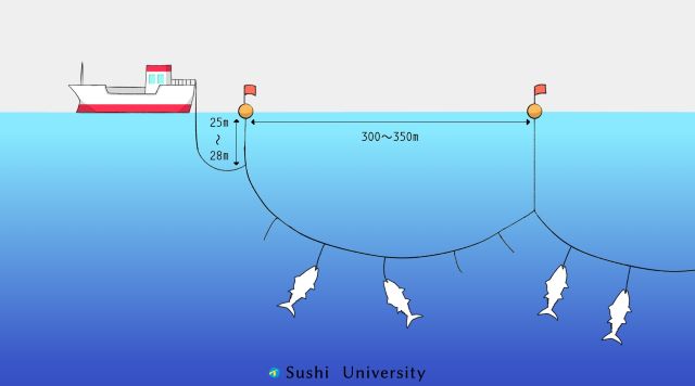 a photo of Longline fishing method