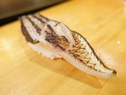 A photo of Obtuse barracuda (Taiwan kamasu) nigiri