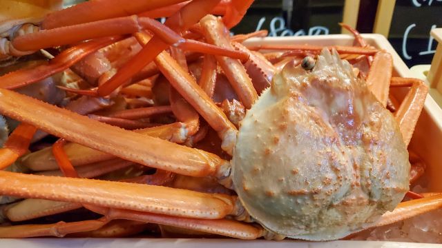 a photo of Red snow crab (Benizuwaigani)