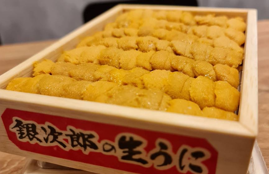 a photo of hakouni