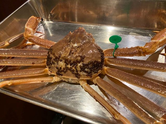 a photo of Snow crab (Zuwaigani)