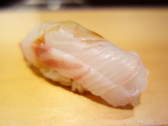 A photo of Spotted knifejaw (Ishigakidai) nigiri