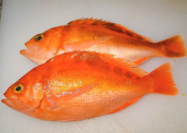 a photo of Sunrise Perch (Akaisaki)