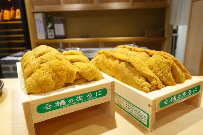 a photo of tachibana unii