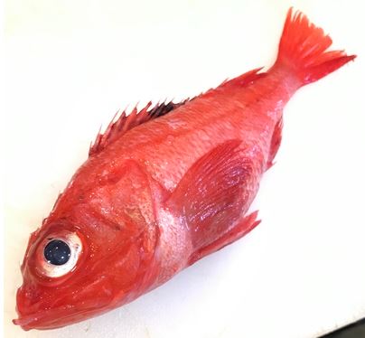 a photo of Thornhead (Kichiji)