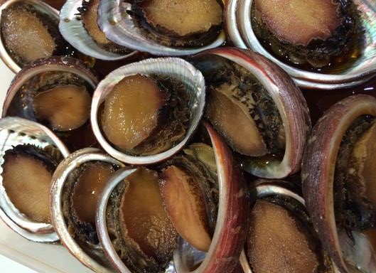 a photo of Tokobushi abalone