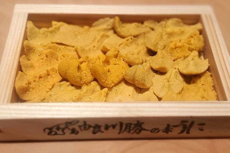 a photo of akauni