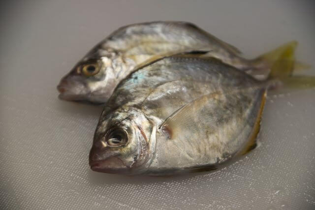 a photo of Whitefin trevally (Kaiwari)