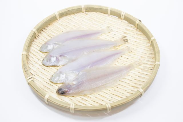 a photo of Willowy flounder (Yanagimushigarei)