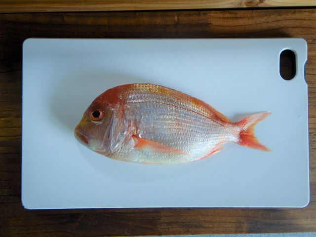 a photo of Yellowback seabream (Renkodai)