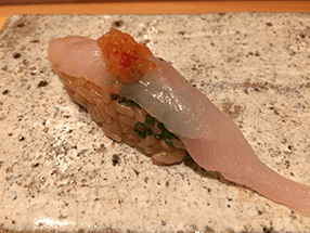 Japanese-pufferfish