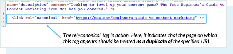 Where to find rel=canonical in the page's source code.