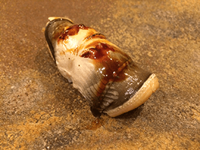 japanese-conger