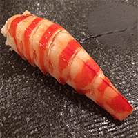 Kuruma prawn